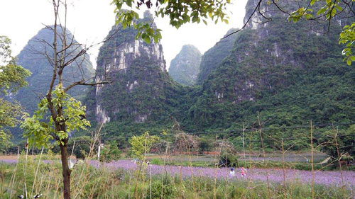 Karst mountains of Yanshuo.jpg